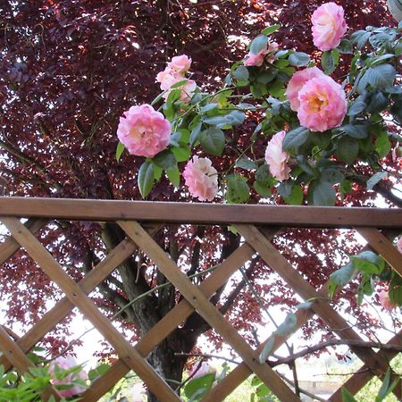 Casa Angolo Delle Rose ออร์เวียโต ภายนอก รูปภาพ