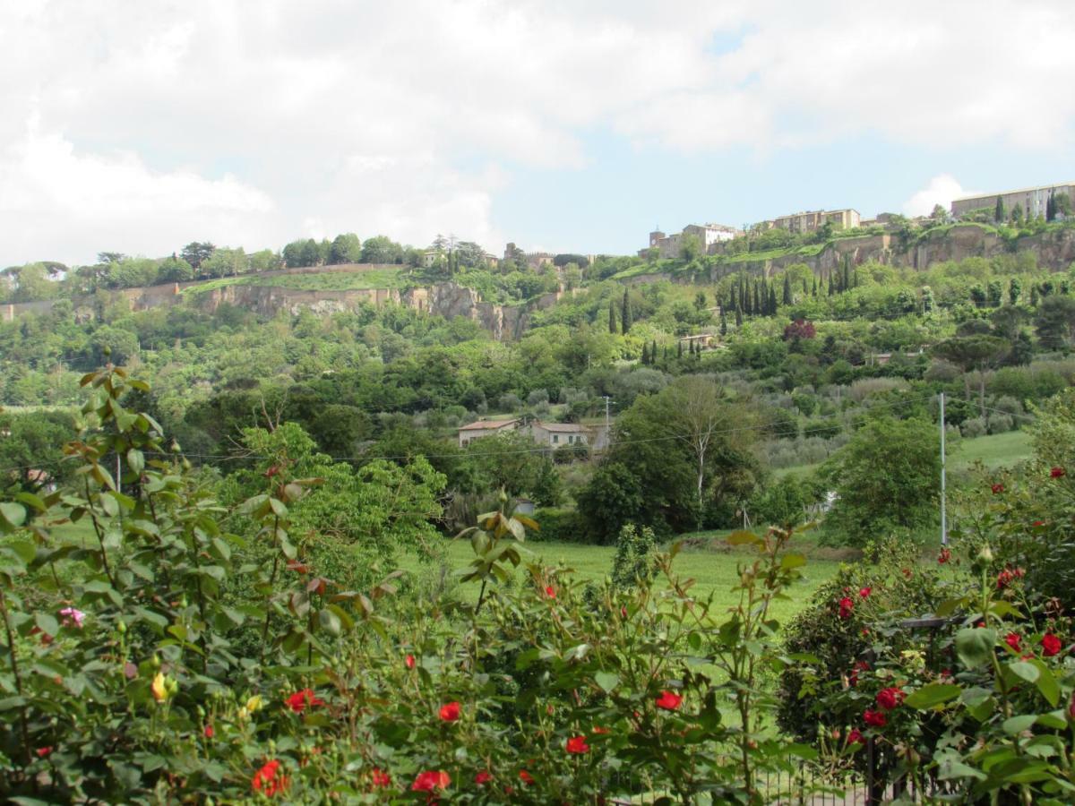 Casa Angolo Delle Rose ออร์เวียโต ภายนอก รูปภาพ